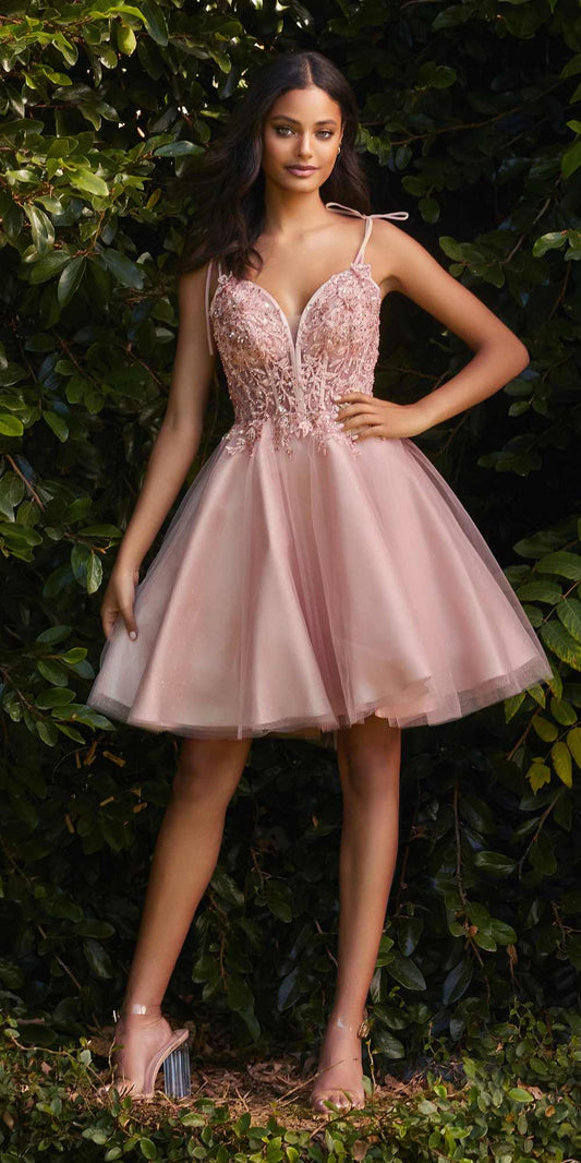 Cinderella Divine CD0188 Short A-Line Tulle and Lace Dress