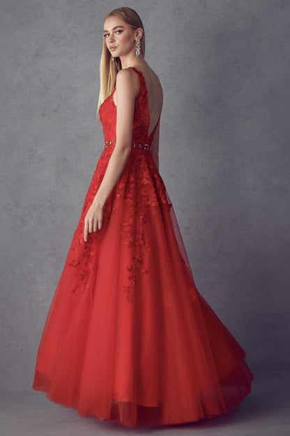 Juliet 224 V-Neck and Back Embroidered Tulle A-Line Ball Gown