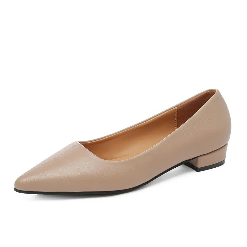 Pointed Toe Low Heel Pump