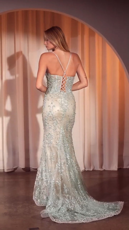 Ladivine CC2403 Dress Pearl & Lace Embellished Fit & Flare Gown