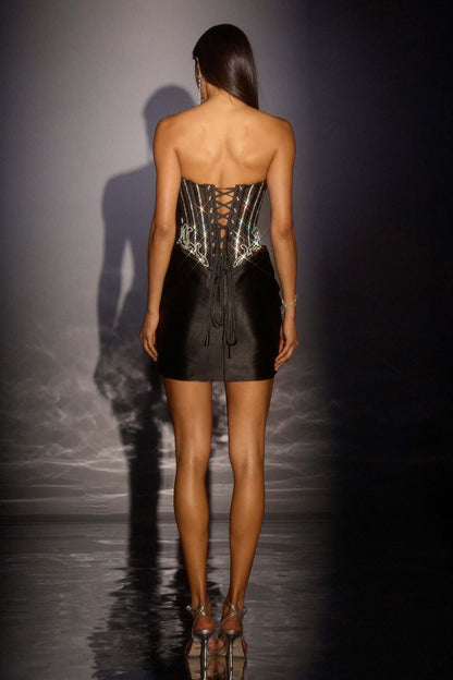 Ladivine CD645 Strapless Sheer Corset Fitted Mini Dress