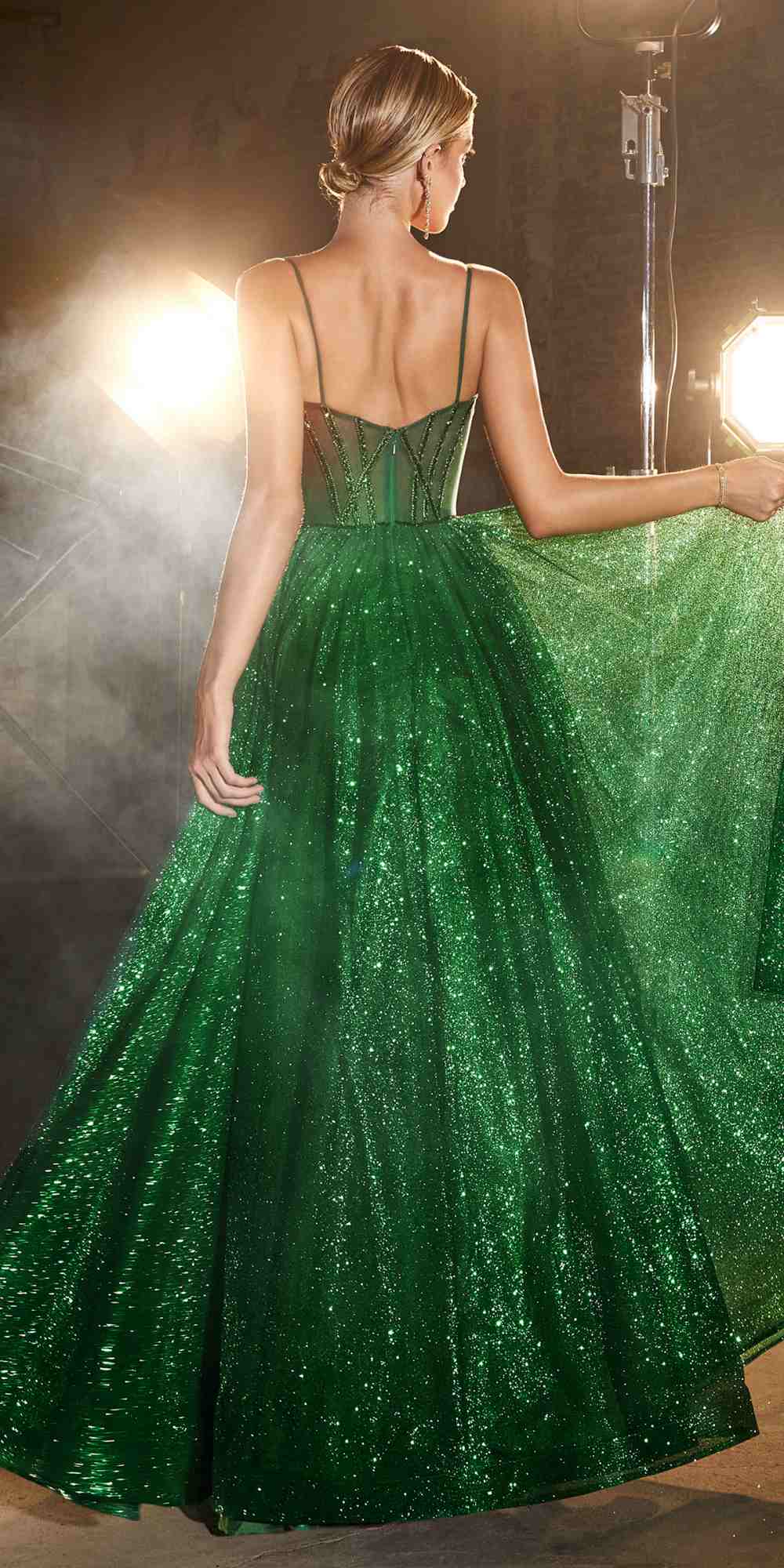 Ladivine CD832 Long Sheer Boned Bodice Glitter Flock Ball Gown