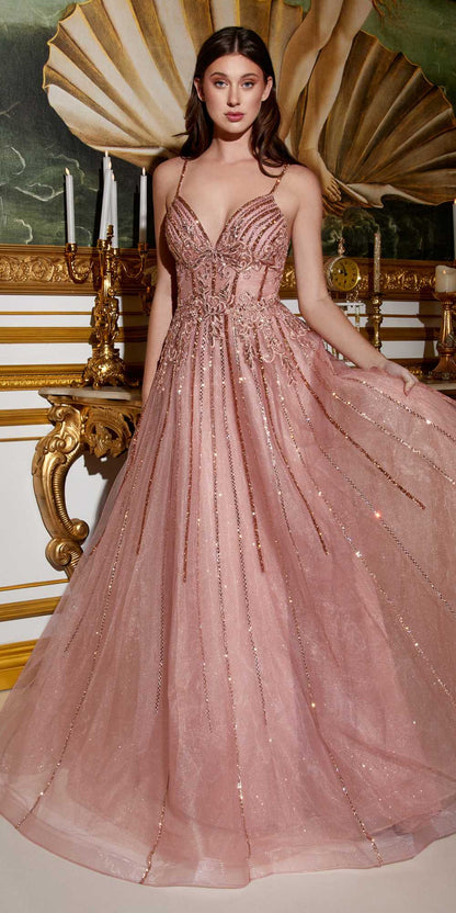 Cinderella Divine CD994 Long A-Line Beaded Tulle Gown Lace Detail V-Neck