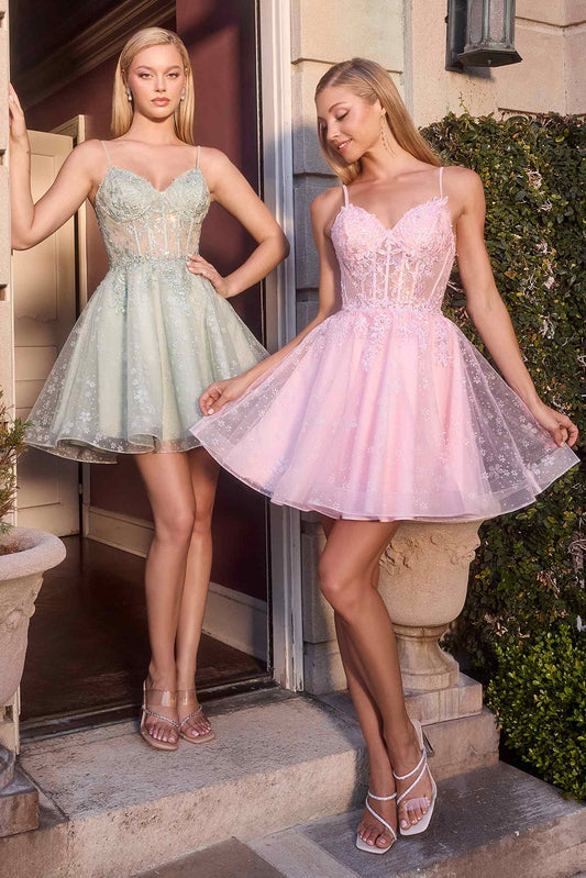 Ladivine CJ419 Short Damas Lace Applique A-Line Dress