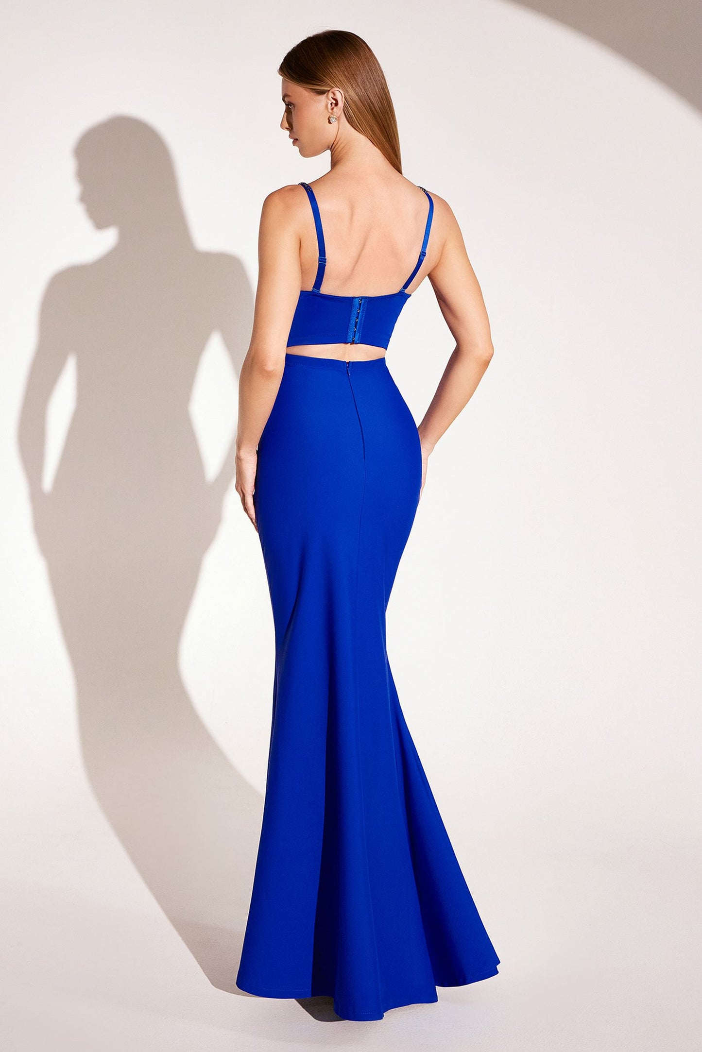 Ladivine Amoris T9002 Long Fitted Embellished Bodice Formal Gown
