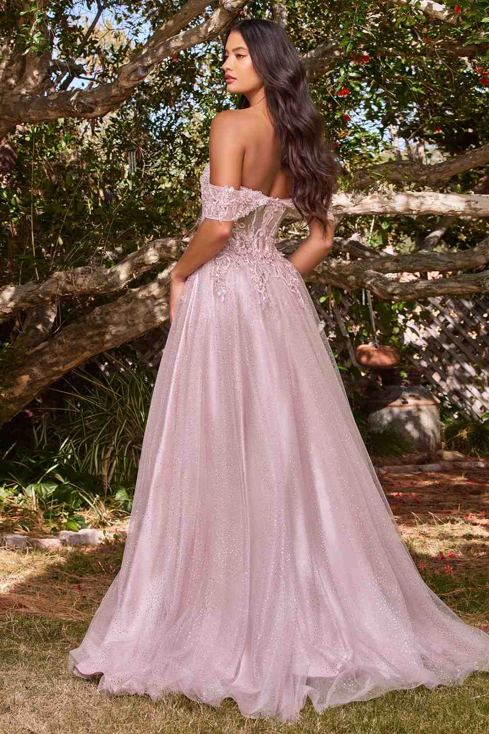 Cinderella Divine CD0198 Vestido largo de encaje con corte A y mangas Bardot