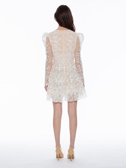 Flowery Embroidered Lace V-Neck Mesh Mini Dress