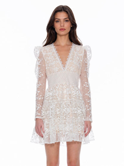 Flowery Embroidered Lace V-Neck Mesh Mini Dress